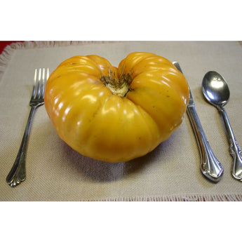 Pineapple Tomato (Heirloom 85 Days) - Vegetables