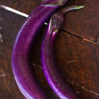 Pingtung Long Eggplant (Heirloom 66 Days) - Vegetables