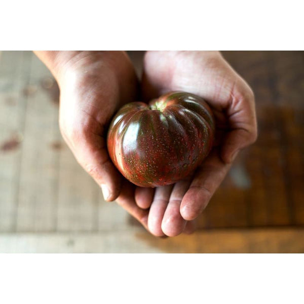 Berkeley Tie Dye Pink - Amazing Tomato – Smart Seeds Emporium