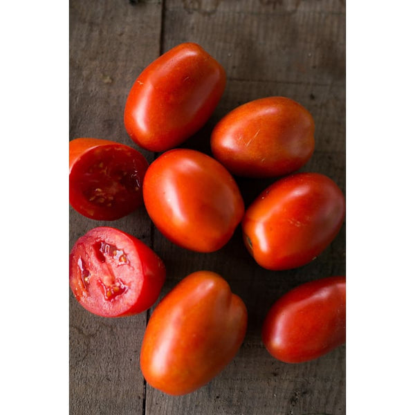 BlushingStar Tomato (F1 Hybrid 70-75 Days) – Pinetree Garden Seeds