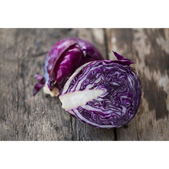 Primero Cabbage (F1 Hybrid 72 Days) - Vegetables