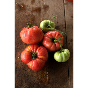 Prudens Purple Tomato (Heirloom 72 Days) - Vegetables