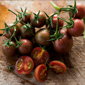 Purple Bumble Bee Tomato (Organic 70 Days) - Vegetables