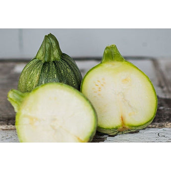 Ronde De Nice Summer Squash (Heirloom 50 Days) - Vegetables