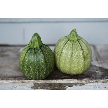 Ronde De Nice Summer Squash (Heirloom 50 Days) - Vegetables