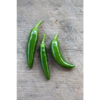 Serrano Hot Pepper (Heirloom 75 Days) - Vegetables