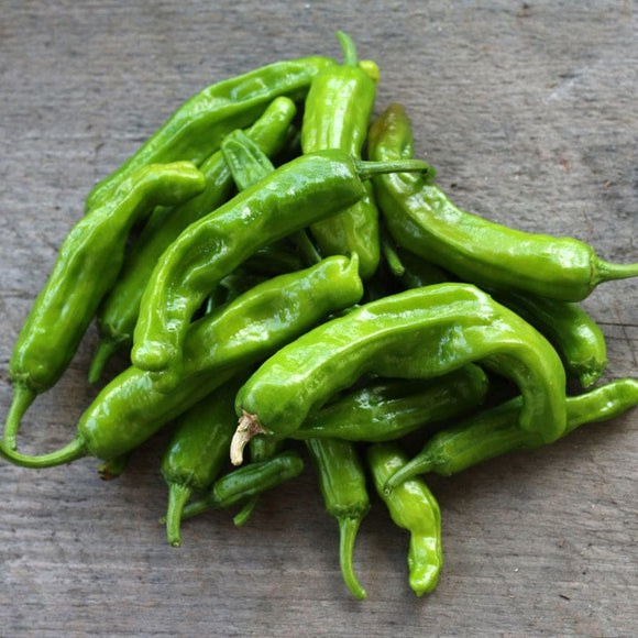 Shishito Pepper (Organic 60 Days) – Pinetree Garden Seeds