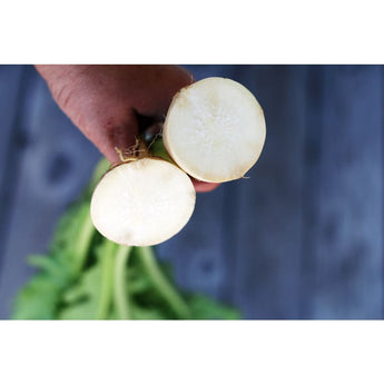 Shogoin Turnip (30 Days) - Vegetables