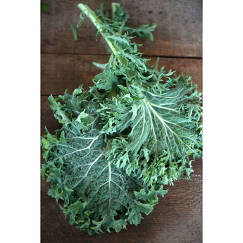 Siber Frill Kale (Organic 60-70 Days) - Vegetables