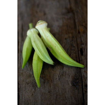 Silver Queen Okra (Heirloom 80 Days) - Vegetables