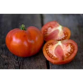 Soldacki Tomato (Heirloom 80 Days) - Vegetables