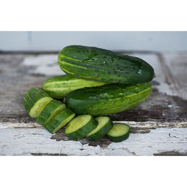 Spacemaster Cucumber (59 Days) – Pinetree Garden Seeds