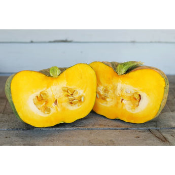 Speckled Hound Squash (F1 Hybrid 100 Days) - Vegetables