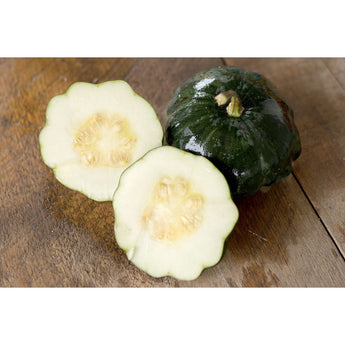 Starship Scallop Summer Squash (F1 Hybrid 45 Days) - Vegetables