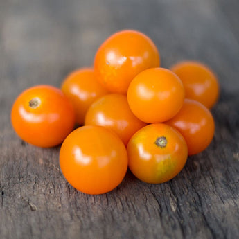 Sungold Tomato (F1 Hybrid 60 Days) - Vegetables