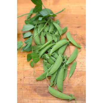 SUPER SUGAR SNAP PEA (62 days) - Vegetables