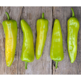 Sweet Banana Pepper (Heirloom 72 Days) - Vegetables