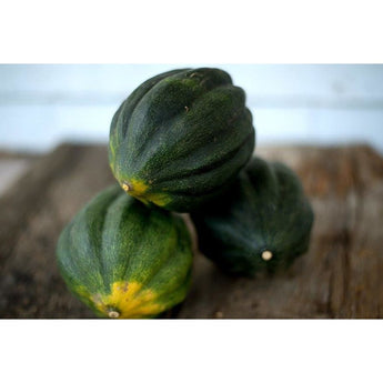 Table Princess Winter Squash (F1 Hybrid 75 Days) - Vegetables