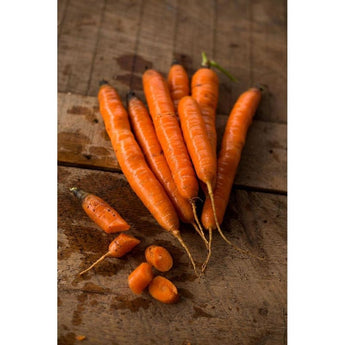 Tendersweet Carrot (Heirloom 70 Days) - Vegetables