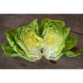 Tennis Ball Lettuce (Heirloom 50 Days ) Vegetables