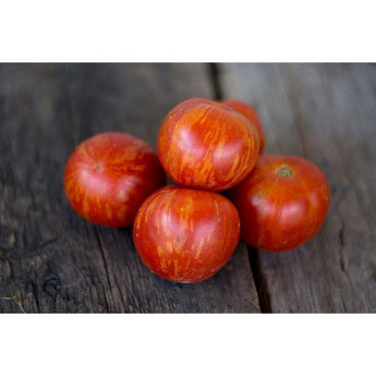 Tigerella Tomato (Heirloom 55-65 Days) - Vegetables