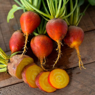 Touchstone Gold Beet (Organic 55 Days) - Vegetables