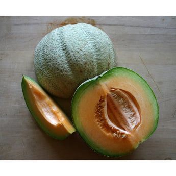 Tuscany Melon (Heirloom 80 Days) - Vegetables