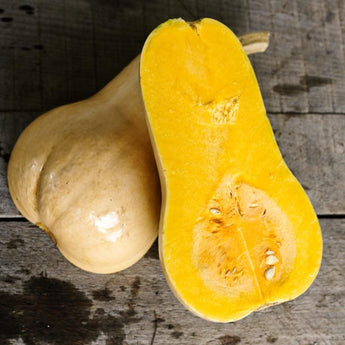 Waltham Butternut Squash (90 Days) - Vegetables