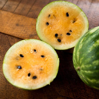 Yellow Petite Watermelon (80 Days) - Vegetables